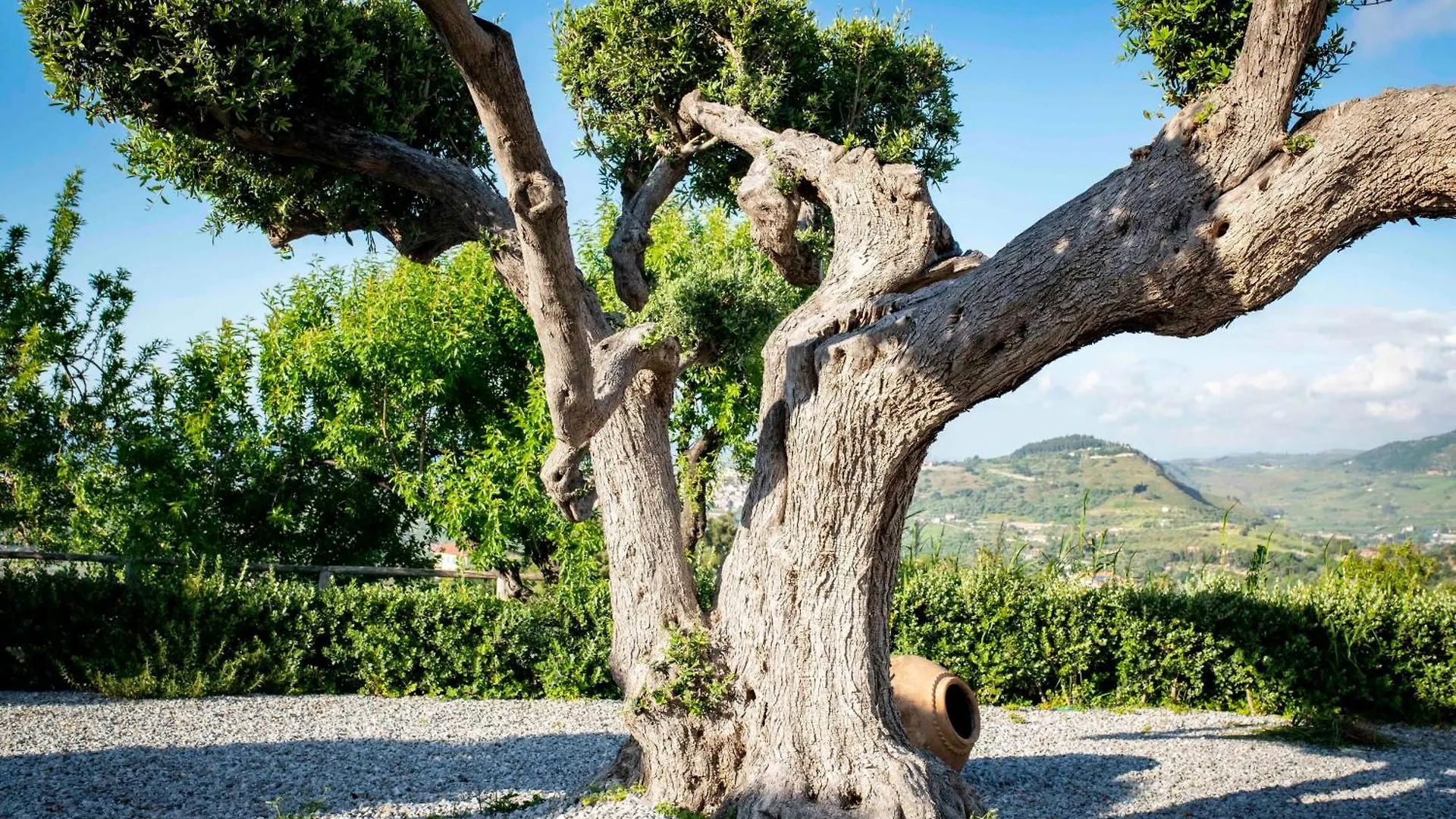 Tenuta Pietravera Furnari Farm stay